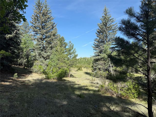 160 Indian Paint Brush, Chama, NM 87520