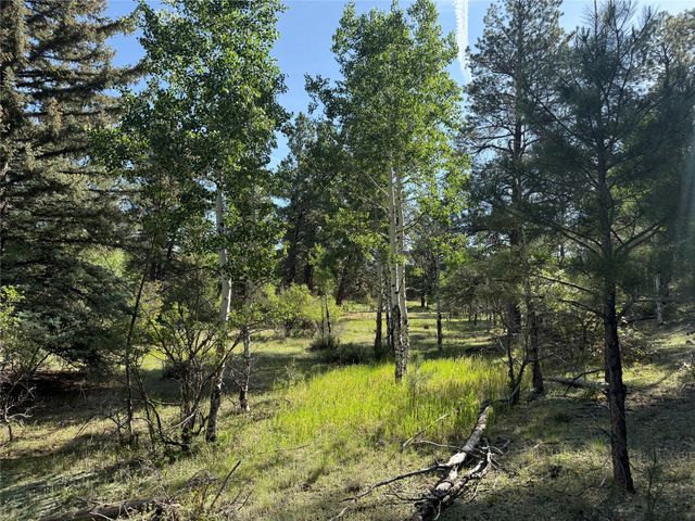 160 Indian Paint Brush, Chama, NM 87520