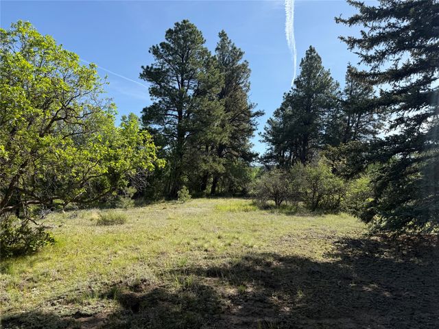 160 Indian Paint Brush, Chama, NM 87520