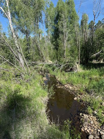 160 Indian Paint Brush, Chama, NM 87520