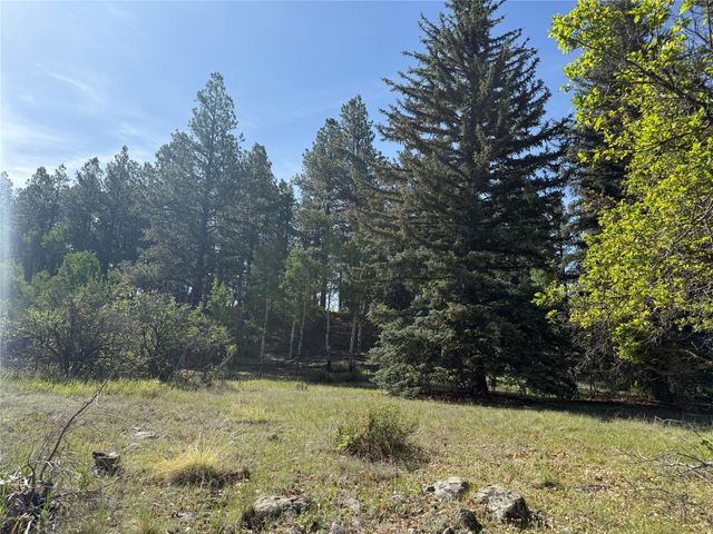 160 Indian Paint Brush, Chama, NM 87520