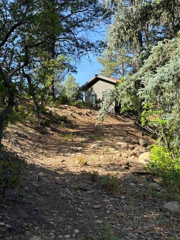 160 Indian Paint Brush, Chama, NM 87520