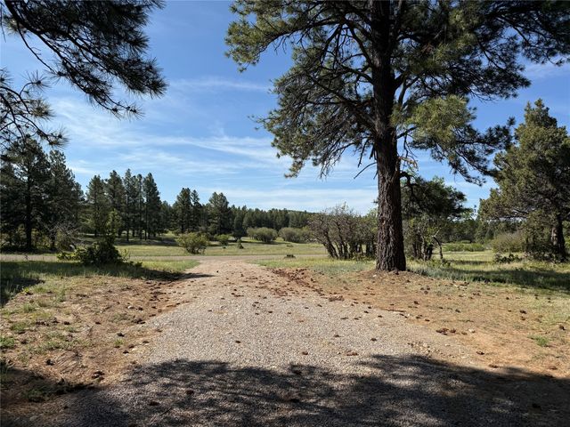 160 Indian Paint Brush, Chama, NM 87520