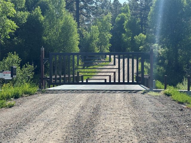 160 Indian Paint Brush, Chama, NM 87520