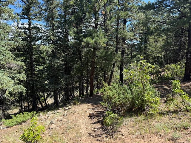 160 Indian Paint Brush, Chama, NM 87520