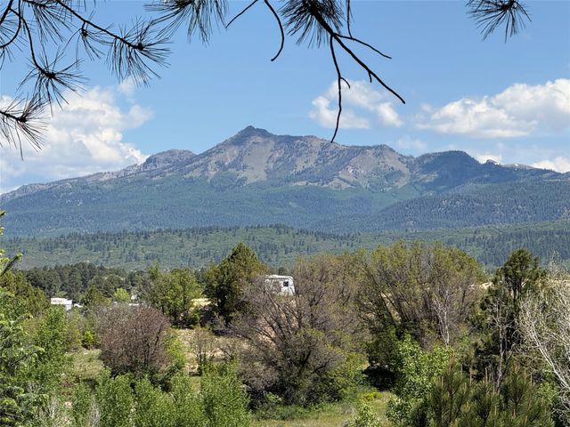160 Indian Paint Brush, Chama, NM 87520
