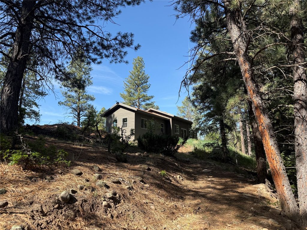 160 Indian Paint Brush, Chama, NM 87520