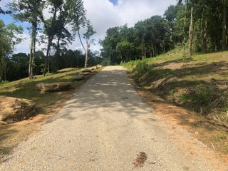 0 Beckum Hollow Rd, Mount Pleasant, TN 38474
