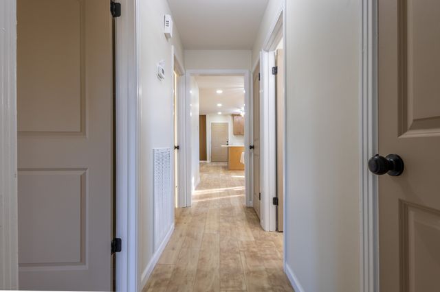 205 Hazelnut Ct, Clarksville, TN 37042