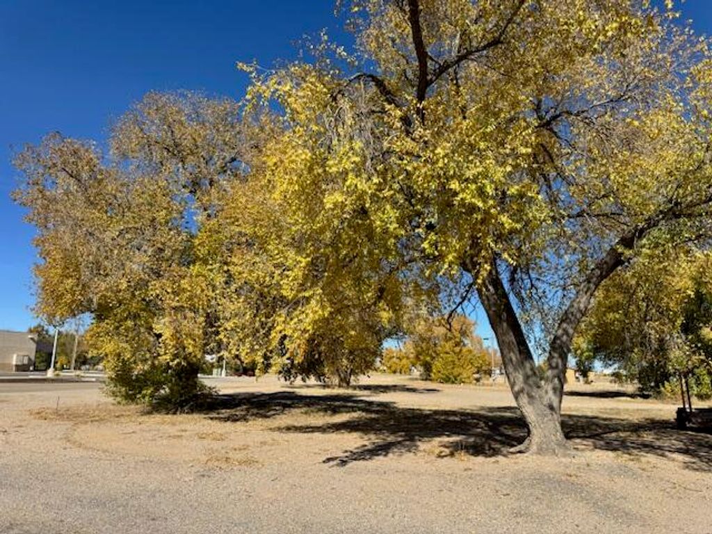 N Princeton Avenue, Moriarty, NM 87035