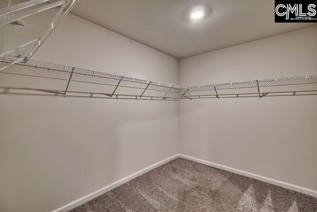 154 Switch Grass Drive, Leesville, SC 29070