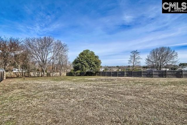 154 Switch Grass Drive, Leesville, SC 29070