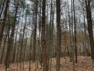 Lot 14 Fisher Valley Road, Dobson, NC 27017