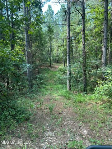 Powell Chapel Rd, Holly Springs, MS 38635