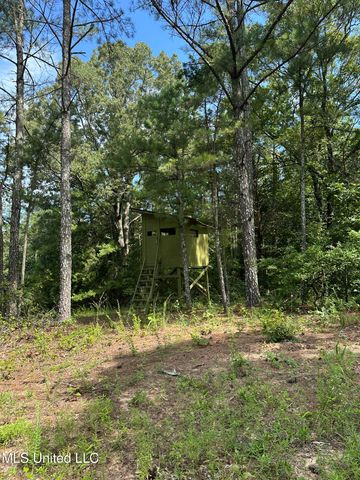 Powell Chapel Rd, Holly Springs, MS 38635