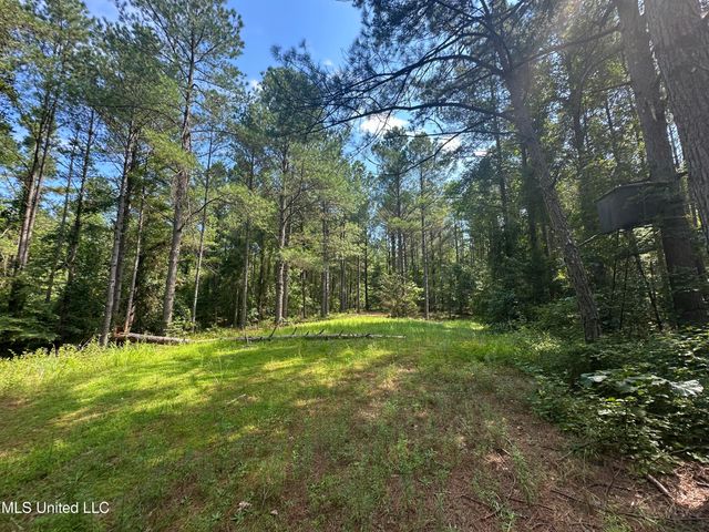 Powell Chapel Rd, Holly Springs, MS 38635