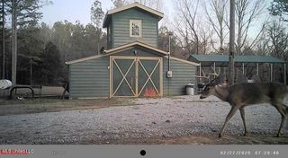 Powell Chapel Rd, Holly Springs, MS 38635