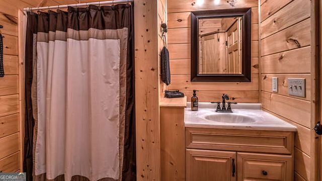 395 Mill Creek Acres, Blue Ridge, GA 30513