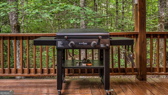 395 Mill Creek Acres, Blue Ridge, GA 30513