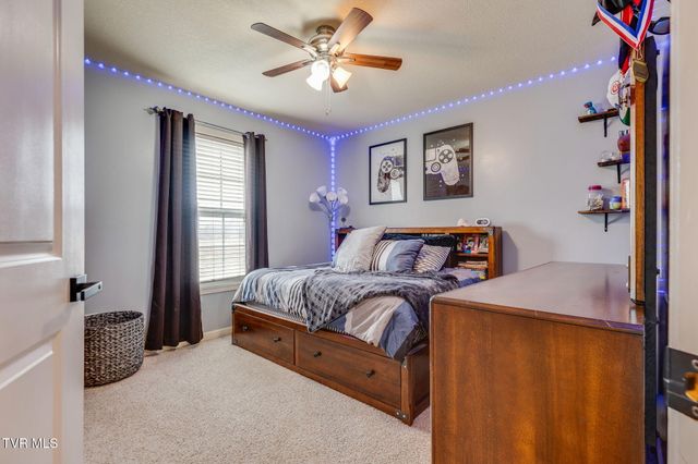 175 Argil Cox Road, Jonesborough, TN 37659