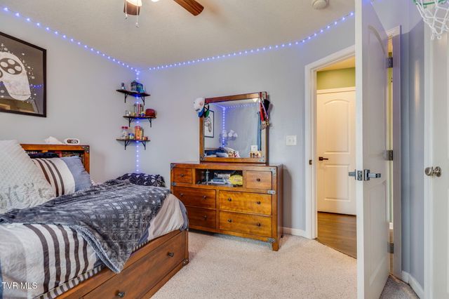 175 Argil Cox Road, Jonesborough, TN 37659