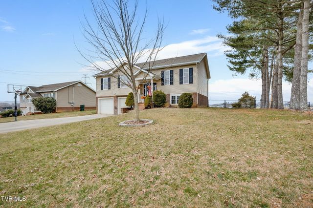 175 Argil Cox Road, Jonesborough, TN 37659