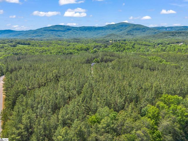 78 Ashley Court, Mill Spring, NC 28756