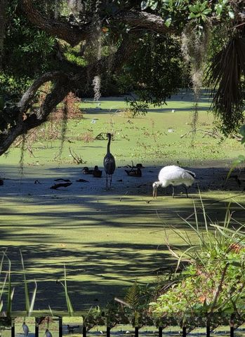 5165 CEDAR HAMMOCK LN 5165, Sarasota, FL 34232