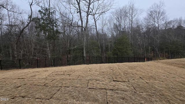 1013 Red Finch Way, Angier, NC 27501