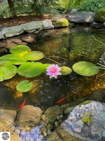 1396 NE Westwood Road, Mancelona, MI 49659