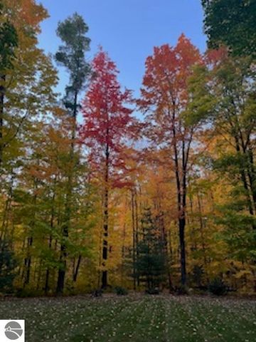 1396 NE Westwood Road, Mancelona, MI 49659