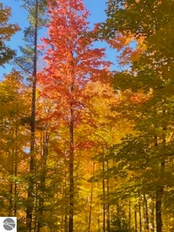 1396 NE Westwood Road, Mancelona, MI 49659