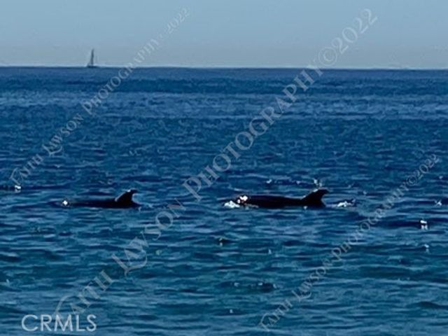 34134 Selva Road 248, Dana Point, CA 92629