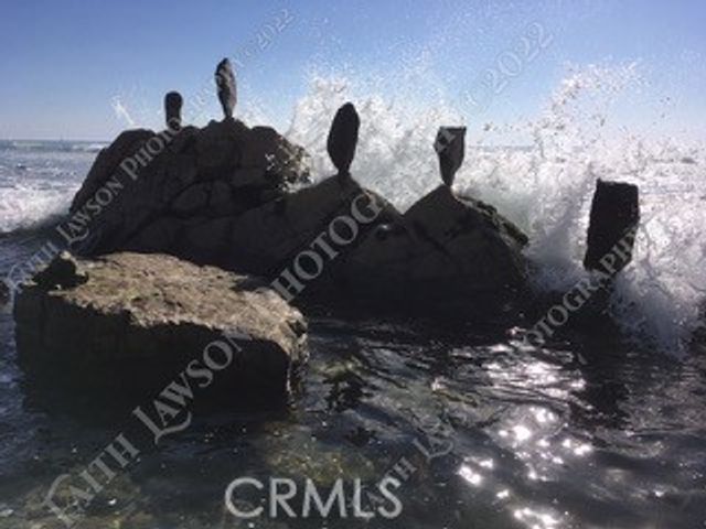 34134 Selva Road 248, Dana Point, CA 92629