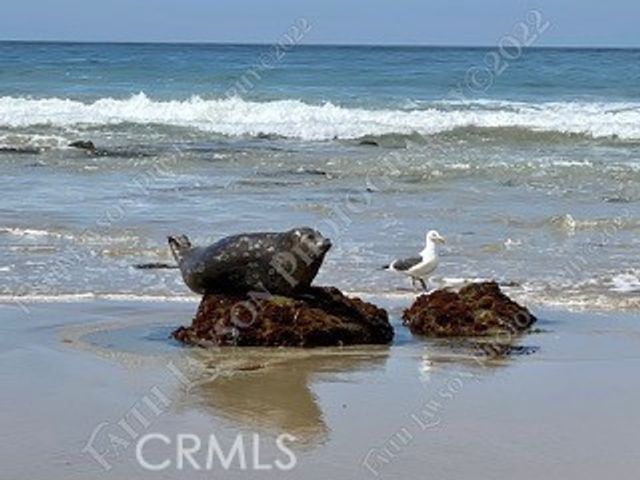 34134 Selva Road 248, Dana Point, CA 92629