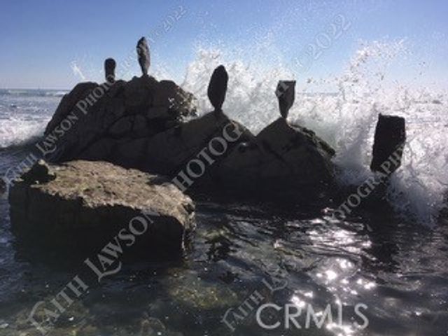 34134 Selva Road 248, Dana Point, CA 92629