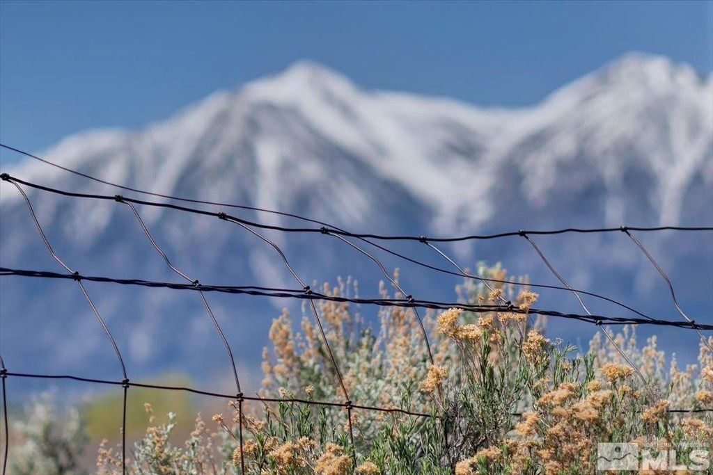 Image 16 of property listing at 1700 Sunrise Pass Road, Minden, NV 89423