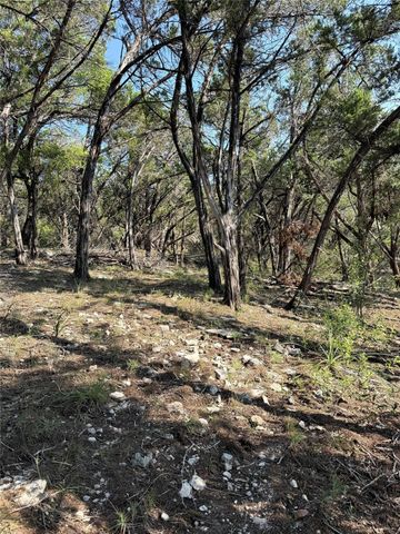 8147 Arroyo Ave, Leander, TX 78645