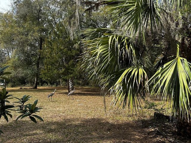 12212 NE 238TH TERRACE, Salt Springs, FL 32134
