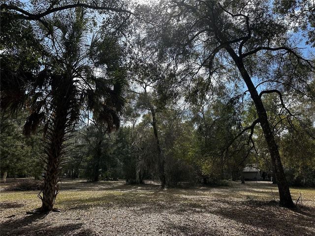 12212 NE 238TH TERRACE, Salt Springs, FL 32134