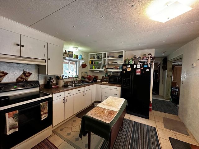 12212 NE 238TH TERRACE, Salt Springs, FL 32134