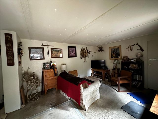 12212 NE 238TH TERRACE, Salt Springs, FL 32134