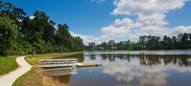 1354 Knollbridge Point Lane, Pinehurst, TX 77362