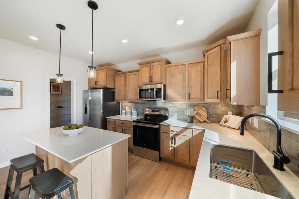 1005 Annagaire Curve, Rosemount, MN 55068 — photo 2