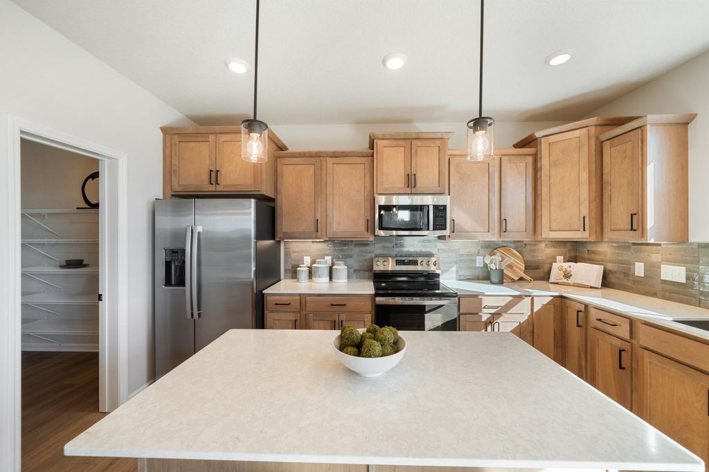 1005 Annagaire Curve, Rosemount, MN 55068 — photo 3