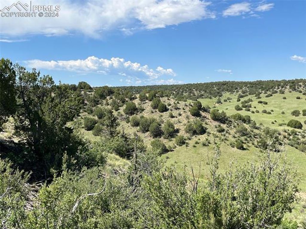 Railroad Springs Road, Pueblo, CO 81004 — photo 2