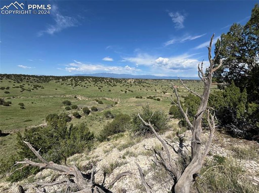 Railroad Springs Road, Pueblo, CO 81004 — photo 4