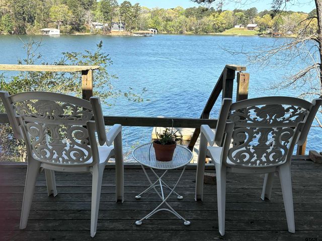 1114 CR 3112, Jacksonville, TX 75766