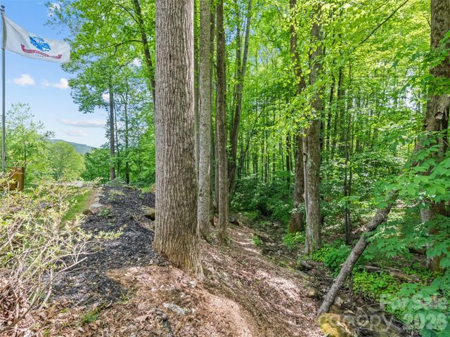 1073 Lentini Drive, Waynesville, NC 28785
