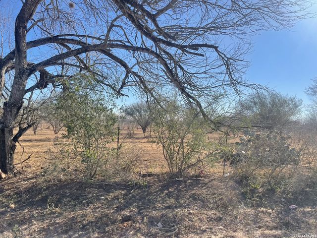 1432 CR 326 & CR 327, Jourdanton, TX 78026